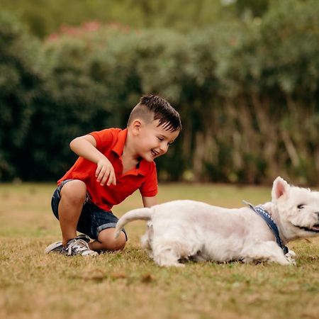 Agroturismo Can Guillem Can Furnet Екстер'єр фото
